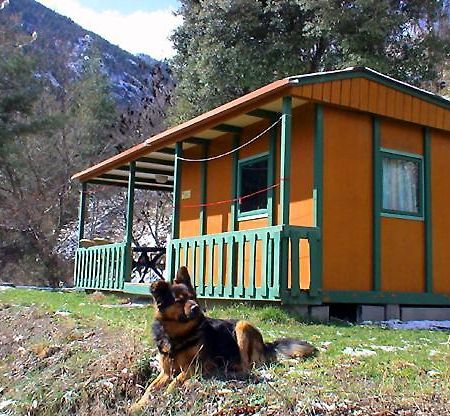 Chalet-Bungalow Ombrage Escaro Exteriér fotografie