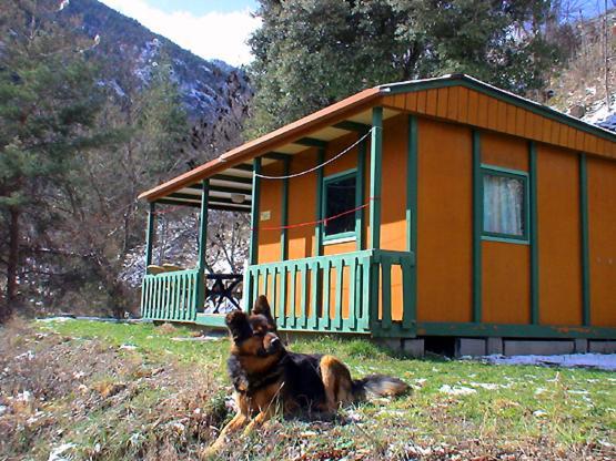 Chalet-Bungalow Ombrage Escaro Exteriér fotografie
