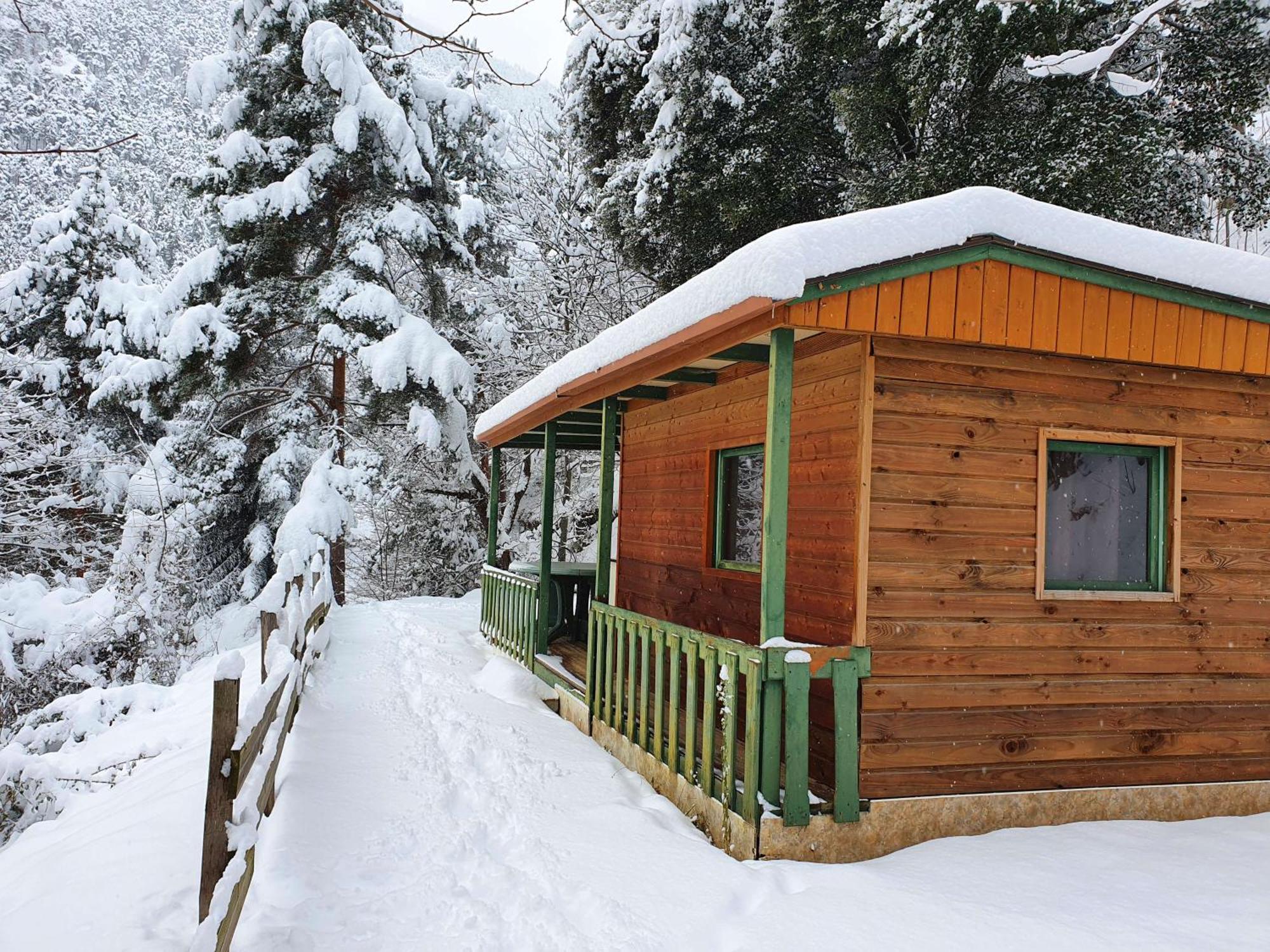 Chalet-Bungalow Ombrage Escaro Exteriér fotografie